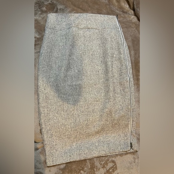 Express Elegant Gray Women's Skirt with side zipper - Picture 2 of 5